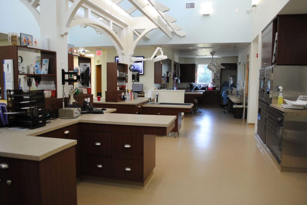 Needham Animal Hospital