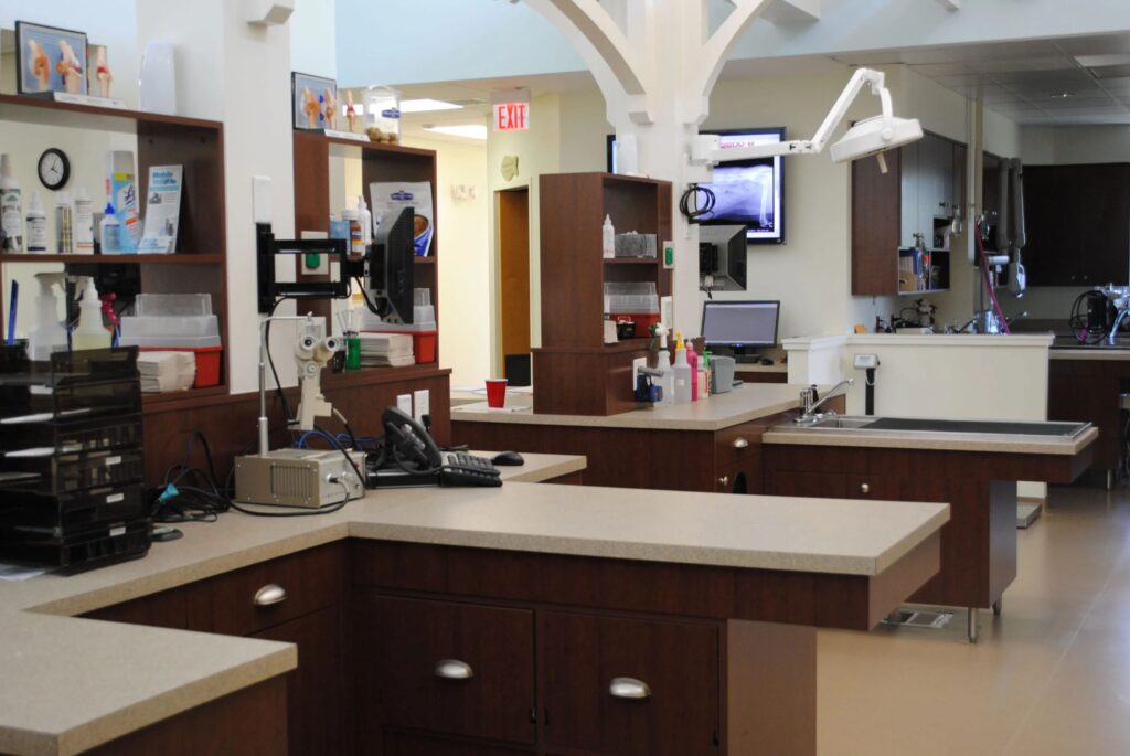 Needham Animal Hospital